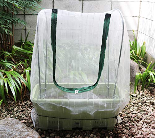 初めての種まき ラディッシュの栽培スケジュール 丸くするために 手作り大好き ゆみの部屋