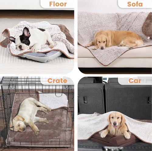 PETTOM Hundedecke Flauschig, wasserdichte Hundedecke 127 x 100 cm, Hunde Decke Sofa, Fleecedecke Hund, Katzendecke Waschbar Braun