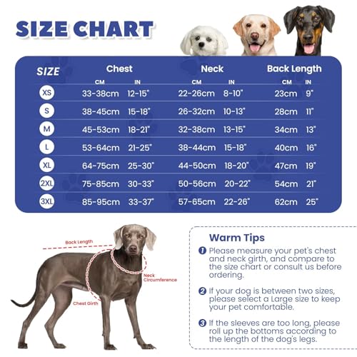 IECOii-Hundebody-Nach-OpPet-Recovery-Suit-Hund-Medical-ShirtHundebody-Nach-Op-HundinHundebody-Nach-Kastration-Rude-HundinAtmungsaktiv-Body-Fur-Hunde-Nach-OpAnti-Wundlecken-Op-Body-HundBlauXS | Dealmeister.io Alt tag für bilder post titel