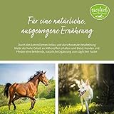 tierlieb Hagebutten-Pulver für Hunde & Pferde | Geprüfte Premiumqualität | 500g Pulver