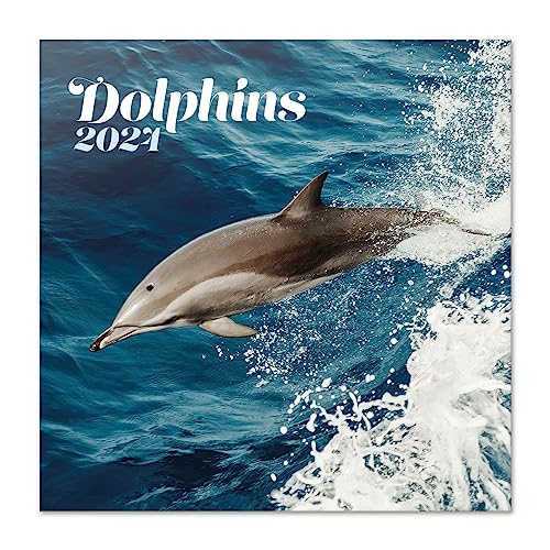 Grupo Erik Dolphins Wall Calendar 2024 12" x 12"