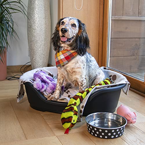 The 30 Best Plastic Dog Beds of 2024 [Verified] Cherry Picks