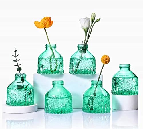 Eidoct Glass Bud Vases Set of 6, Glass Flower Vases Small Bottles for Floral Arrangements, Rustic Decorative Floral Vases for Centerpiece Home Living Room Office Decoration or Wedding Event (Clear C)