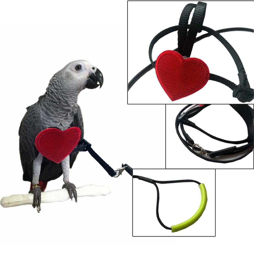 CALANDIS® Bird Parrot Harness Leash Pet Rope for Birds Outdoor Training Leash Xs | Rope | 1 Piece Parrot Rope (B0BFXFFKJM) Amazon Price History, Amazon Price Tracker