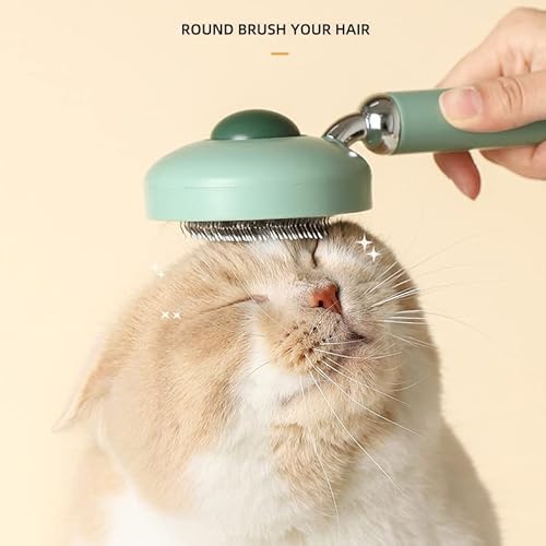 EdirFtra Escova do cão da escova do gato, Pet Grooming Brush, Escova do cão Escova do gato Grooming