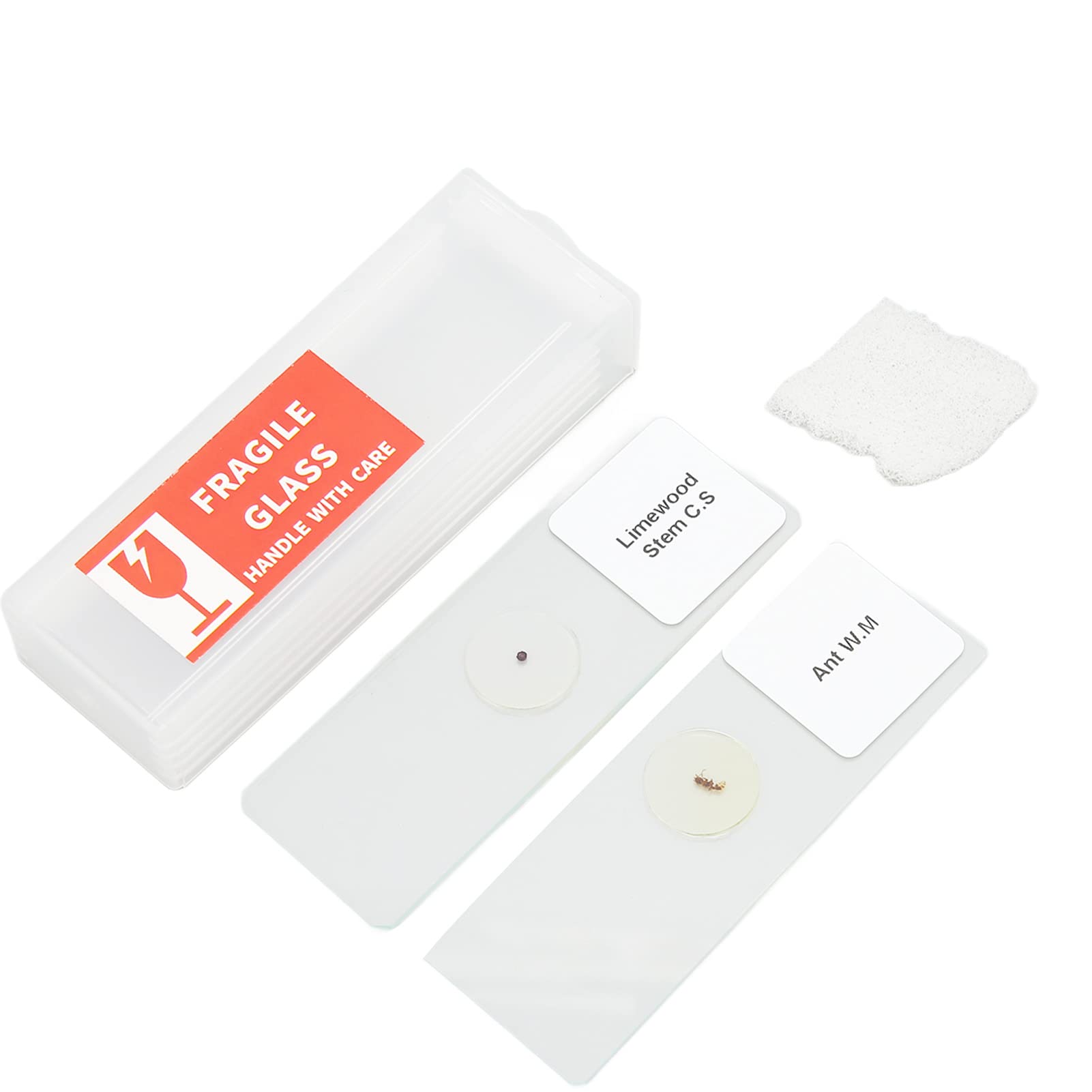 Microscopio Digital de Mano, Microscopio de Bolsillo Ampliación de 800X Aplicación para Plantas