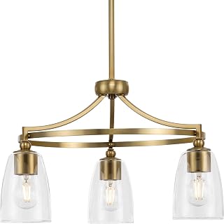Parkhurst Collection 21 in. 3-Light Brushed Bronze Chandelier Clear Glass