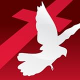 A variety of Sonlife Broadcasting Network streams, including Domestic, International and Global