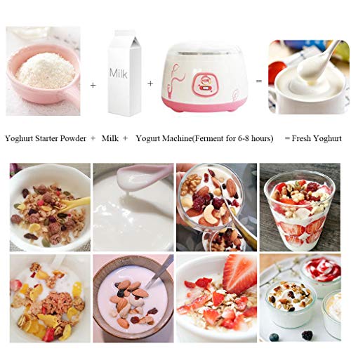 Confezione da 10 Bifidobacterium Yogurt Starter 7