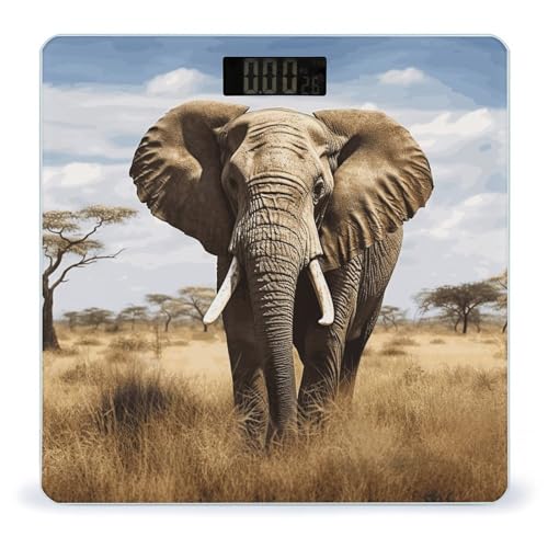 Báscula Digital Elephant de Vidrio Templado para Baño miniatura 1