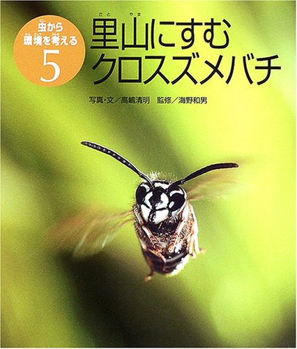 虫から環境を考える (5) 里山にすむクロスズメバチ