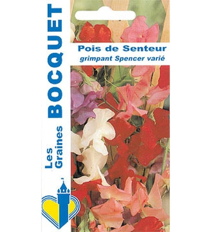 Pois de senteur Comment le cultiver et en prendre soin — free download