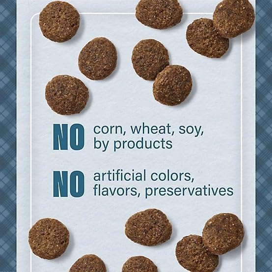 Nutrena Loyall Life Grain All Life Stages Beef with Sweet Potato Receipt Dog Food, 30 Pound (Pack of 1)