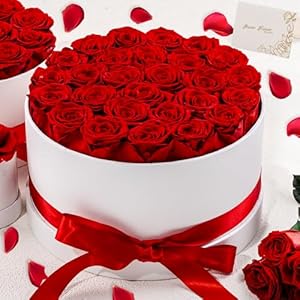 27 Forever Roses in Luxury White Box, Eternal Real Roses Gift for Women, Preserved Flowers for Delivery Prime, Anniversary, Valentine’s Day, Birthday for Her (Red)