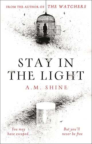 Cover of Stay in the Light