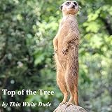 Top of the Tree