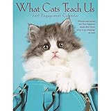 What Cats Teach Us 2017 Engagement Calendar