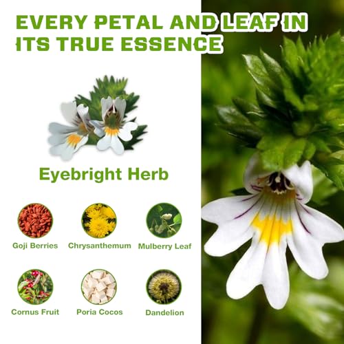 Image of VailHerbTea Eye Health Eyebright Herb Tea Bags - 50 Count, Handcraft Herbal Tea for Vision & Eye Fatigue Support, Natural Formula w /Goji Berries Chrysanthemum - Caffeine-Free, Mild Taste Tea.