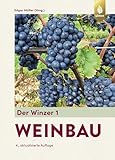 winzer ausbildung  Der Winzer 1: Weinbau