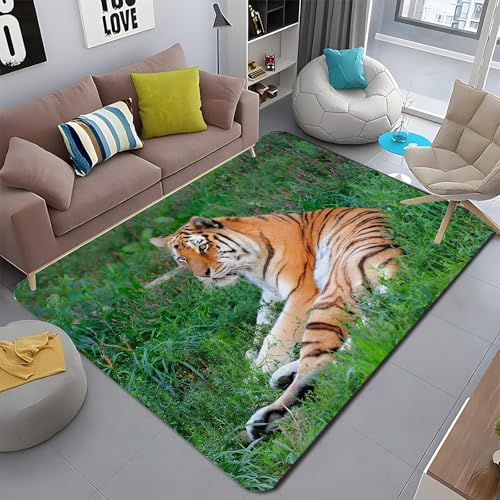 �J�[�y�b�g 1�� �G���A���O �Ҍ� ���O �J�[�y�b�g ���r���O���[�� �􂦂郉�O ���� �h�_�j �h�L �R�� �Չ��� �ϖ��� �O�~ �����` 100x200 cm �A�E�g�h�A�n�~ ����~�� �t���A�}�b�g - PM3084