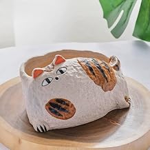 Cartoon-Style Painted cat Garden Pots w/Pottery Quality Finish, Cute Planting Pot, Indoor Plant Pot for Flowers & Herbs,Home Desktop Office Windowsill Decoration Gift.