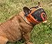 JYHY - Bozal Corto para Perro con Forma de Bulldog de Malla...