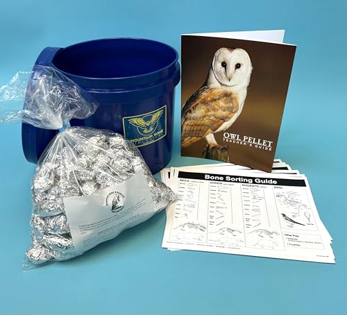 P1-100 Bargain Bucket, 100 Regular Owl Pellets with Teachers Guide and Bone Sorting Sheets