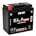 Batteria a gel sigillata pre-attivata BS Sla-Max BTX14H 12 V 14 Ah 220 CCA
