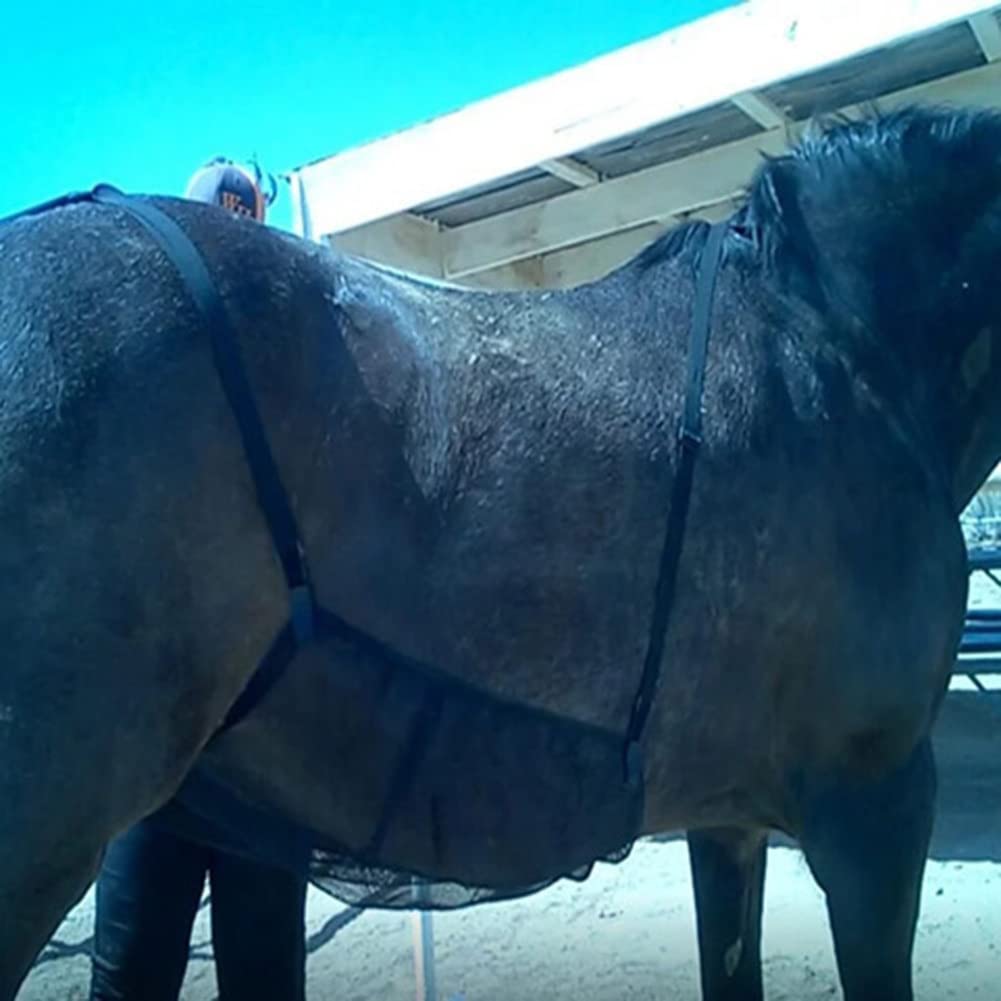Drap de protection pour le ventre de cheval, couve... – Grandado Drap de protection pour le ventre de cheval, couve... – Grandado