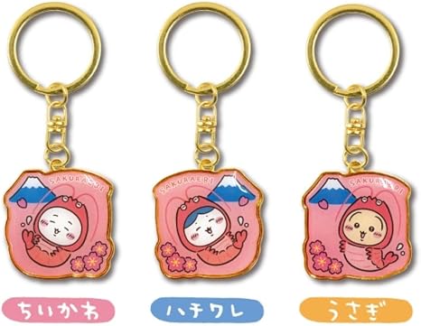♡SHIHO0824様♡専用　ちいかわご当地キーホルダー17点 Amazon.co.jp: [API] ちいかわ ご当地 限定 ダイカット
