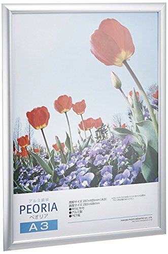 HAKUBA アルミ額縁 ペオリア A3 シルバー 10枚セット AMZFAPE-SV10A3