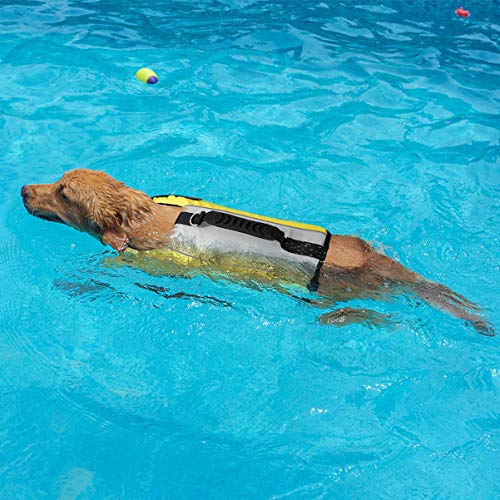 Colete salva-vidas para cães POPETPOP – Colete flutuante para animais de estimação, jaqueta de nataç