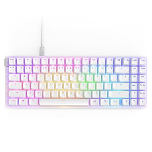 NZXT Function 2 MiniTKL Wired Tenkeyless Optical Gaming Keyboard - 8K Polling Rate - Linear Optical Switches - Adjustable Actuation - Double-Shot PBT Keycaps - RGB - Hot-Swappable - White