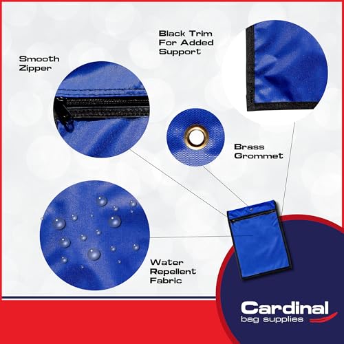 Media Pouch and Nylon Tote Bag for Books, Headphones, and School Accessories, Heavy Duty Travel Storage for Classroom or Library, 16.5 x 11.75 Inch (Royal Blue)3