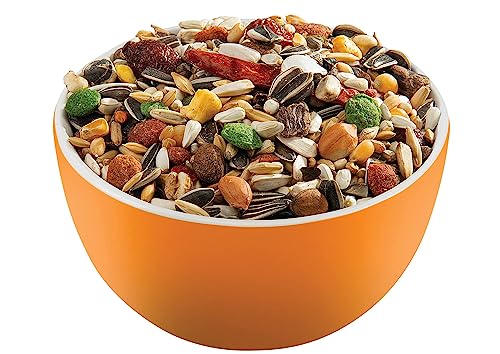 Versele-Laga Prestige Loro Parque African Parrot Mix | 2,5 kg | Aliment complémentaire pour perroquets africains | Mélange de graines enrichi pour Une Condition optimale – Image 4