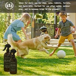 Muse apothecary pet ritual pet cologne spray for dogs  dog perfume spray long lasting after bath  pet perfume for dogs  pet deodorant spray for dogs  essential oils infused  8oz lavender fields   cucciolini doodles