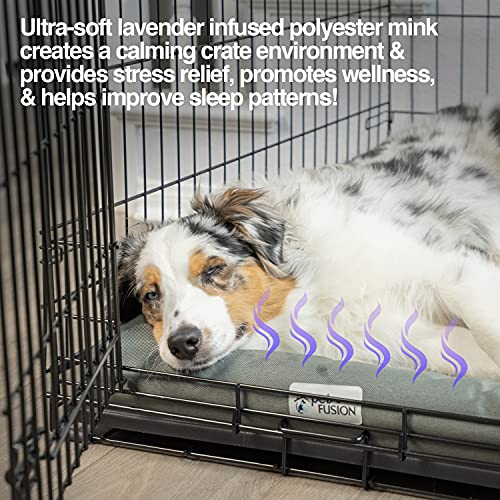 PetFusion Kühlendes Hundebett, orthopädischer Memory-Schaum, Anti-Angst-Matte, alle Temperaturkontrolle, beruhigendes und beruhigendes Welpenbett, Größe XS (53 x 30 cm)