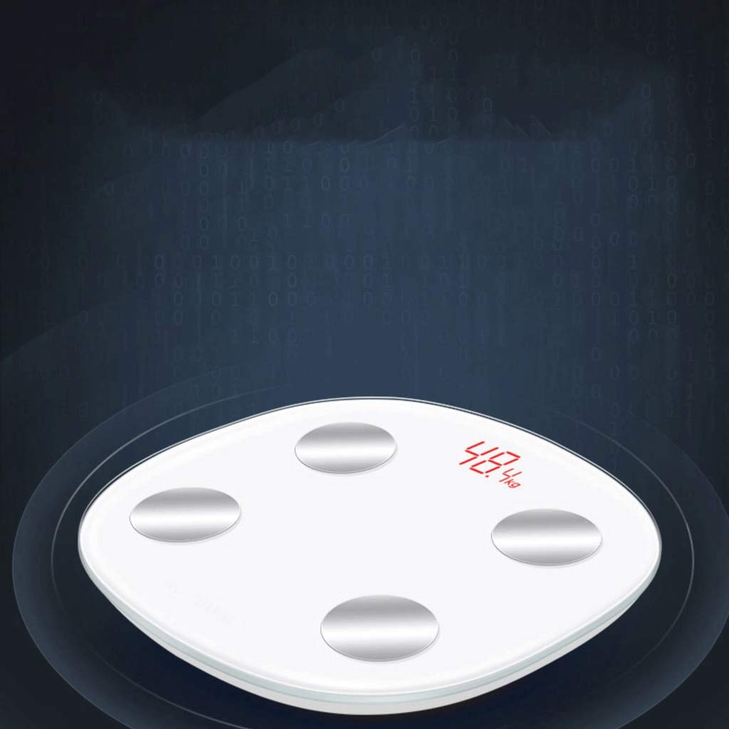 Digital Body Weight Bathroom Scale with and Round Corner Design, Large LCD Backlight Display