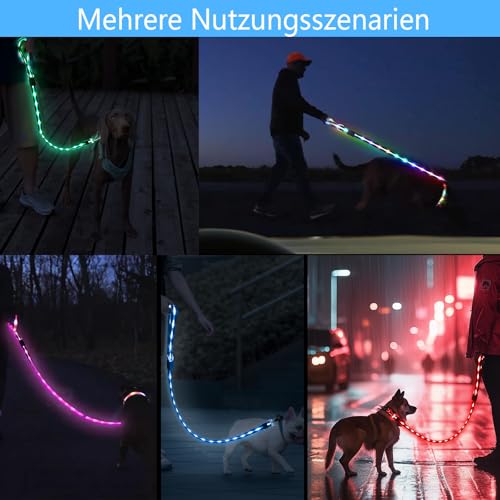 Aisuowa LED Hundeleine für Hunde, 12 Beleuchtungsmodi Reflektierend Leine Hund, 1,5 m, USB Aufladbar Leuchtend Wasserdicht Hundeleinen, Geeignet für Große, Mittelgroße und Kleine Haustiere Licht