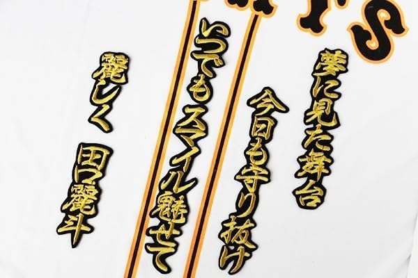 甲子園100周年記念ミニチュア、リング、ピンバッジセットその他