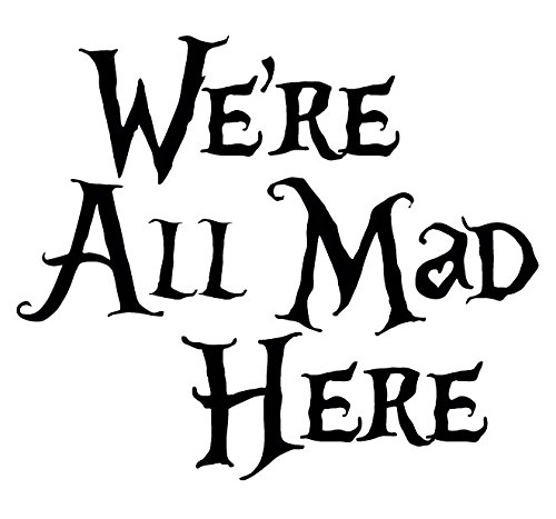 We're All Made Here Decal, Down The Rabbit Hole Sticker, Please Message Us for Custom Designs and Sizes (H 6 by L 7.5 Inches, Matte Black)