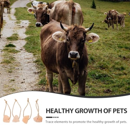 Milisten 4Pcs Cavalo Trata Sal Saudável E Veados Lamber Com Bloco De Sal Para Cavalos E Bloco Minera