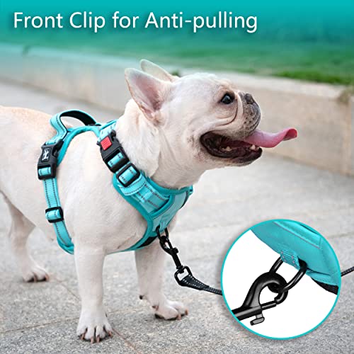 Image of PoyPet No Pull Dog Harness, No Choke Reflective Dog Vest, Adjustable Pet Harnesses with Easy Control Padded Handle for Small Medium Large Dogs(Mint Blue Matching Trim,S)