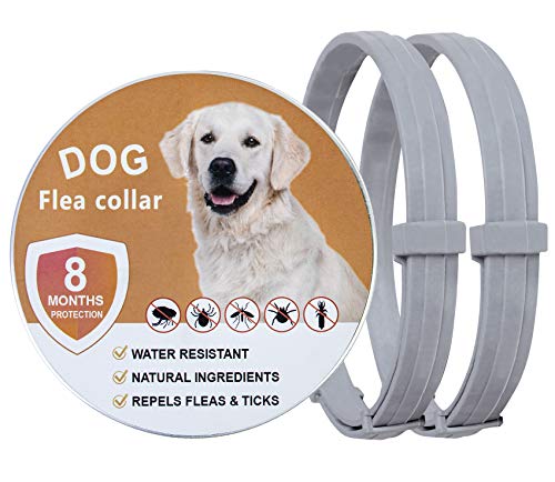 2 Pack Flea and Tick Prevention for Dogs Purple, Prevention, Treatment of Flea & Tick for 8 Months, Natural Ingredients Dog Flea Collars, Waterproof, Free Comb, 25 inches