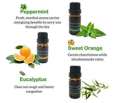 Nocarrington | Oli essenziali Aromaterapia 100%