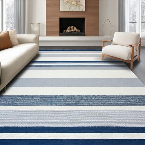 ODIKA Flatwoven High Traffic Area Rug 8x10, Airy Coastal Color