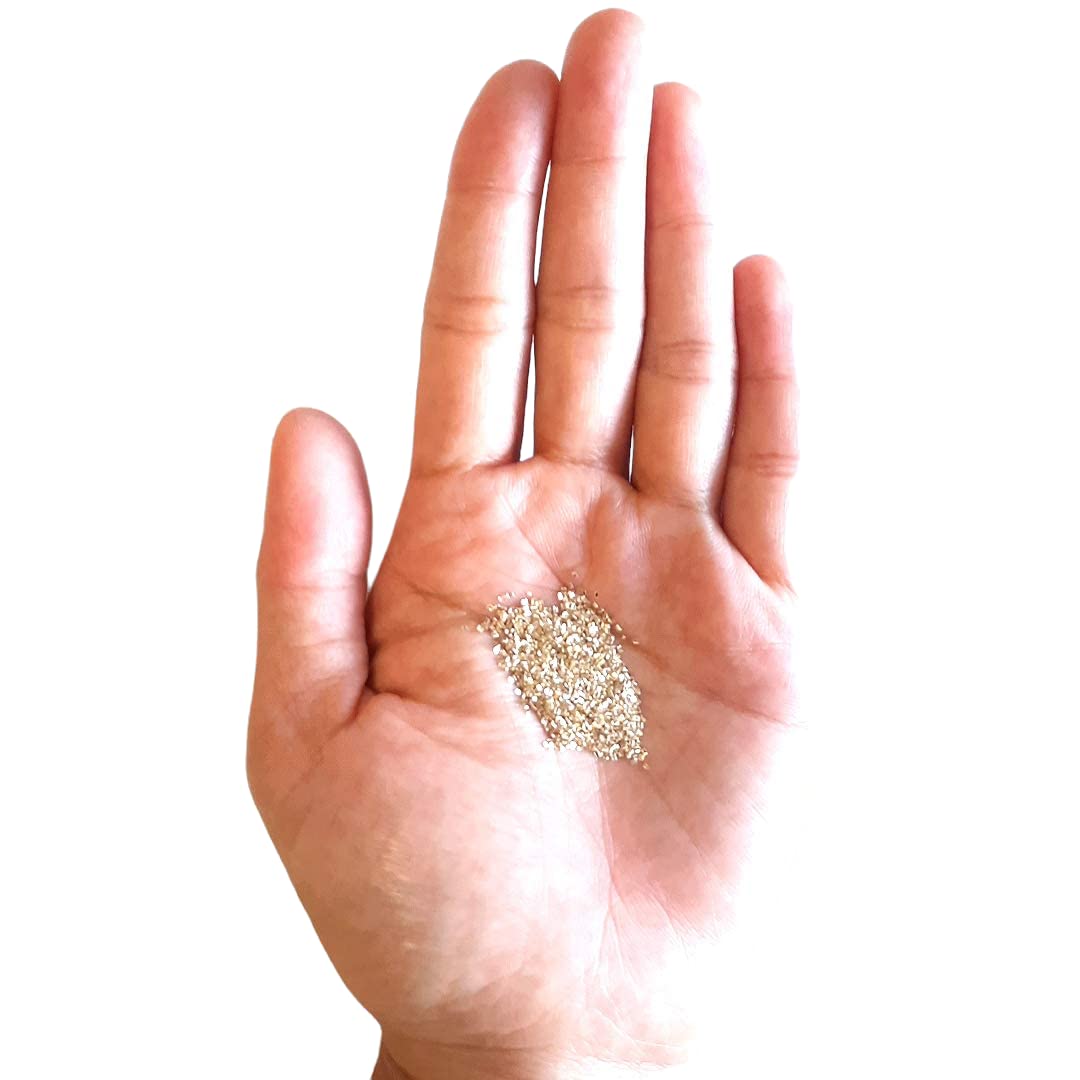 Yellow Silver Chip Hard Solder 3 Grams (~2000 pcs) Matched Gold-Filled 0.5 x 1.0 x 0.25mm Ultra Tiny Made in USA by CRAFT WIRE