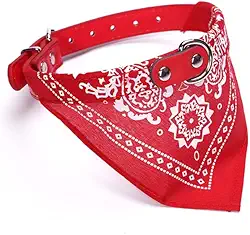 Coleira Bandana Ajustável para Cachorro Pequeno e Médio, Design 2 em 1 com Argola para Guia Resistente 46 cm (Vermelho)