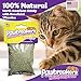 Pawbreakers® Vitanip® Catnip Cat Treats & Toys - Diamond V® Feline Nutritional Supplement – Safe & postbiotic Catnip for Cats | Cat Treats | Made in USA