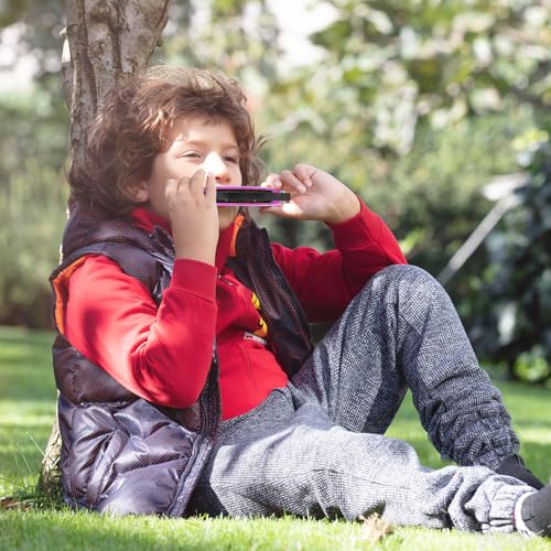 Mundharmonika Diatonische Blues Mundharmonika Tonart C Blues Harp Mundharmonika 10 Löcher mit Schutzetui, Standard Mundharmonika Geschenke für Erwachsene, Profis, Anfänger und Studenten (Rosa)